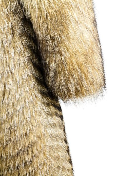 Fur Texture Raccoon Dog Fur Stock Image Image Of Beautiful Wild