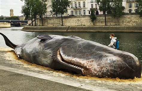 A Giant Dead Whale Appeared In Paris But Its Not What It Seems Bgr