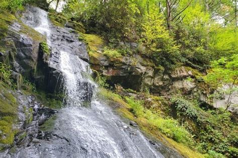 Hike To Hen Wallow Falls Cosby Tn Waterfalls Pics Gabes Mountain Trail