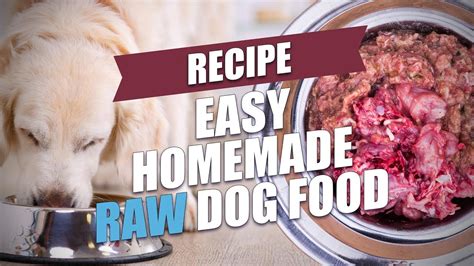 Easy Homemade Raw Dog Food Recipe Fast And Healthy Youtube