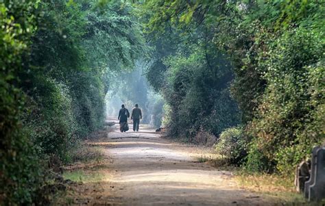 Couple Walking Along Misty Path Photograph By K Jayaramscience Photo