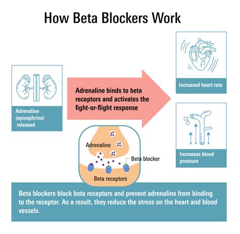 Long Term Use Of Beta Blockers After Heart Attack Has No Cardiovascular Benefits
