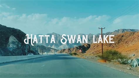 Hatta Swan Lake Natural Waterfall Dubai Uae Youtube