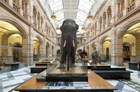 Best Art Galleries in Glasgow for Your Culture Fix