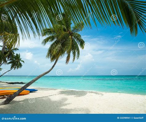 Perfect Tropical Island Paradise Beach Stock Image - Image: 33298941
