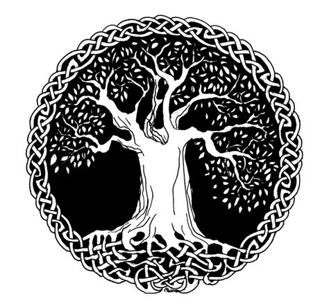 Tree Of Life Celtic Tree Of Life Png Transparent Png Download