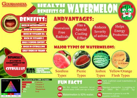 Health Benefits Of Watermelon Visually