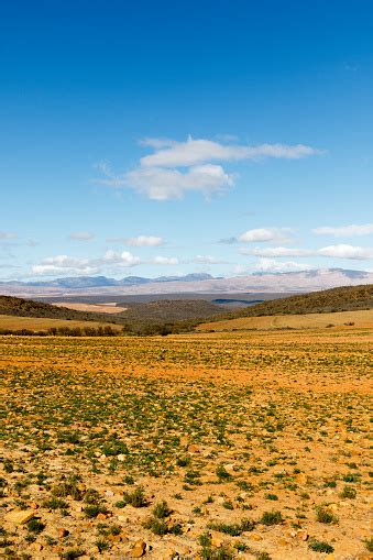 The Dry Lands Of Central Karoo District Stock Photo Download Image