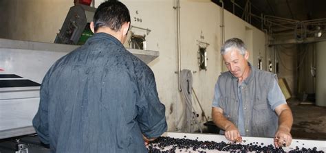 1,042 likes · 3 talking about this · 1,271 were here. Château Roland la Garde, quand le blaye se conjugue en bio ...