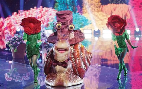 The Surreal Pleasures Of ‘the Masked Singer The Nation