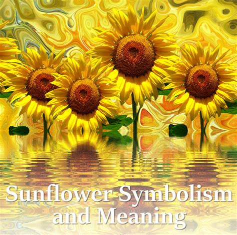 Sunflower Symbolism and Meaning | HubPages