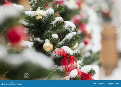 Christmas Balls Hanging On A Snowy Christmas Tree Stock Photo Image