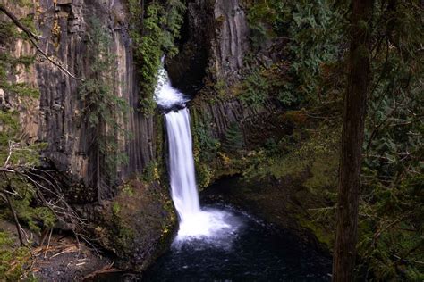 Guide To Umpqua National Forest Waterfall Hikes And Hot Springs