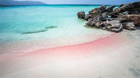 Das Sind Die 4 Schönsten Rosa Sandstrände Der Welt Ad