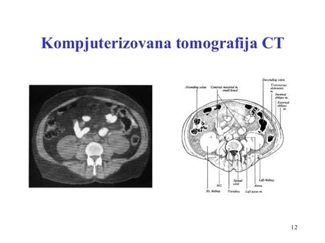 Anatomija Uvod 1