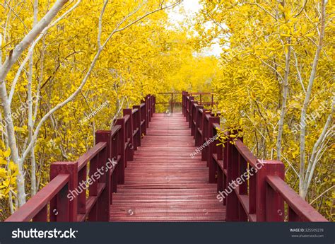 Red Wooden Bridge Into The Autumn Forest Stock Photo 325509278