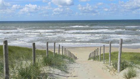 Hier vind je alle informatie omtrent deze prachtige badplaats van het strand met de strandpaviljoens tot de duinen aan de oostgrens van zandvoort en alles wat. Analyseren/Natuurlocaties: Amsterdamse Waterleidingduinen ...