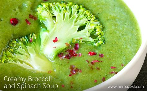 Creamy Broccoli And Spinach Soup Herbazest