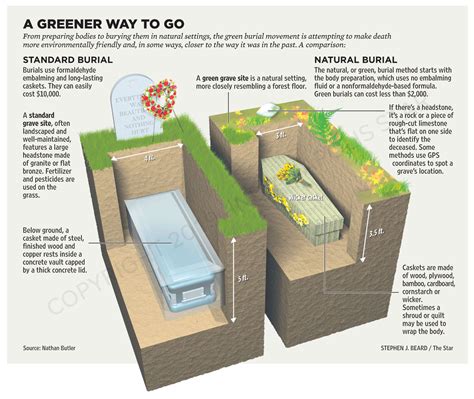 How green burial works diagram and comparison to traditional burial