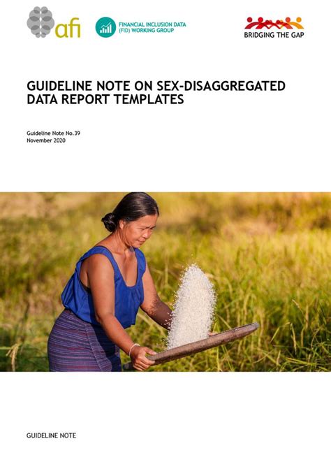 Guideline Note On Sex Disaggregated Data Report Templates Alliance For Financial Inclusion