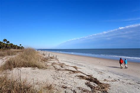 Camping At Edisto Beach State Park Find Reservations At Edisto Beach
