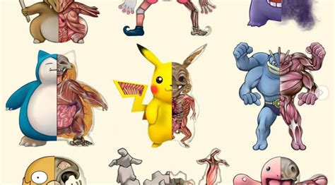 Pokénatomy The Science Of Pokémon By Christopher Stoll Ybmw