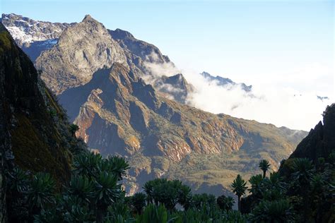 Rwenzori Mountains Margarita Camp To Bugata Camp Jontynz Tales