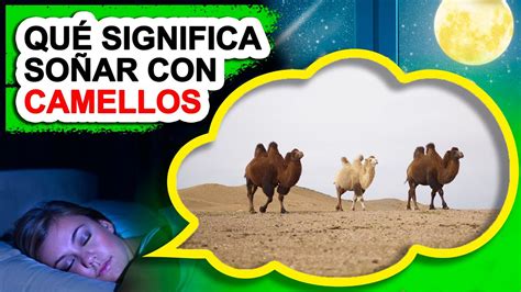 ¿qué Significa Soñar Con Camellos Libro De Oniromancia Youtube