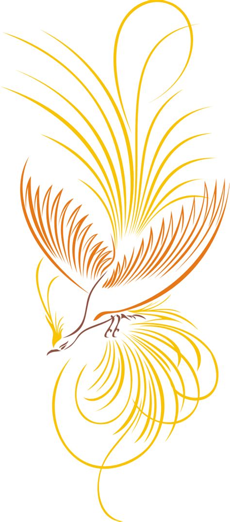 Burung cendrawasih lebih dikenal dengan bird of paradise ada berbagai jenis. Download Gambar Burung Cendrawasih Vektor - Kumpulan Logo Lambang Indonesia