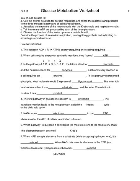 Living organisms display the property of metabolism, which is a general term to describe the 3. 11 Best Images of Glucose Metabolism Worksheets With Answers - Cellular Respiration Worksheet ...