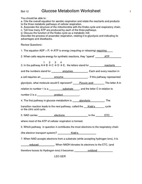 .pogil answer key bing, weblink ap biology 2 biozone, literature teaching guides librarydoc31 pdf, pogil calorimetry answer key pdf slideblast com, ap worksheets biology junction, pogil home, ap bio photosynthesis pogil master list flashcards quizlet 9 photosynthesis and cellular respiration. 16 Best Images of The 12 Cell Review Worksheet Answers ...