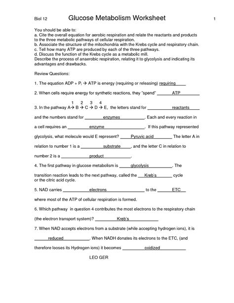 Another couple of bursts, bullets hissing over their heads this time, but they could stay where they were. 11 Best Images of Glucose Metabolism Worksheets With ...