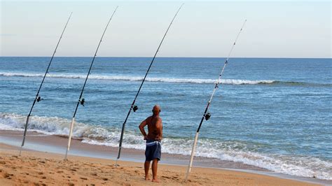 Licencia De Pesca Maritima Galicia 2015 2023