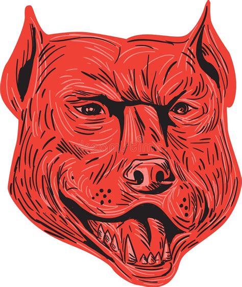 Disegno Della Testa Dellibrido Del Cane Di Pitbull Illustrazione