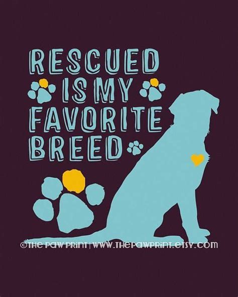 Rescue Dog Quotes Dog Quotes Rescue Dogs