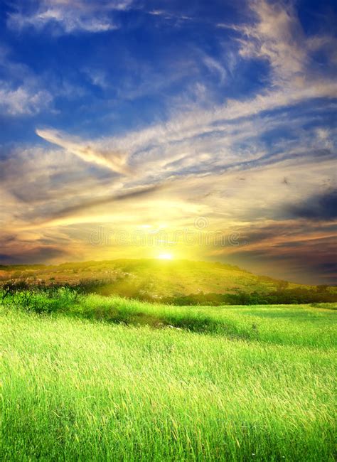 Green Meadow With Cloudy Sky Stock Photo Image Of Horizon Scenery