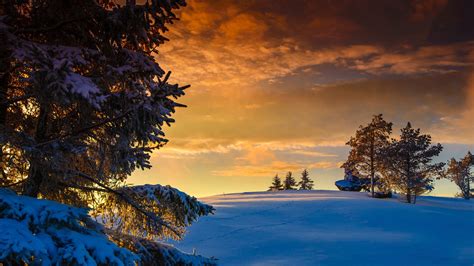 Nature Landscape Winter Snow Norway Trees Sunset Clouds Hill