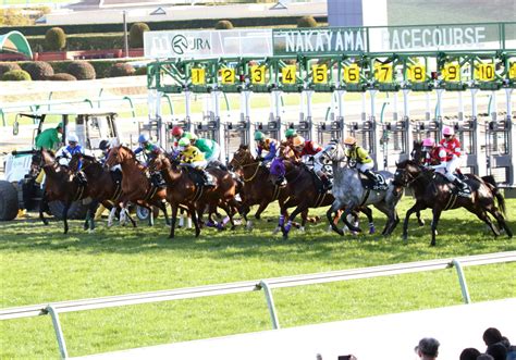 ダノンキングリー (danon kingly) は、日本の競走馬。主な勝ち鞍は2019年の毎日王冠（gii）、共同通信杯（giii）、2020年の中山記念（gii）。 馬名の意味は冠名＋王にふさわしい、王位に君臨することを願って。 JRA【中山記念（G2）展望】昨年はラッキーライラックVSインディ ...