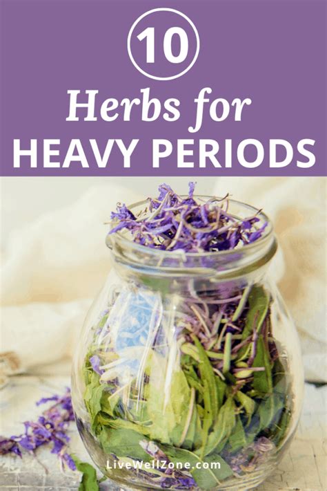 10 Herbs For Heavy Menstrual Bleeding That You Need To Know