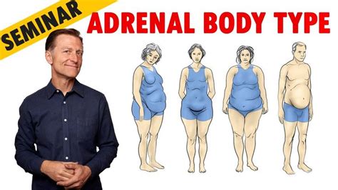 adrenal body type seminar by dr eric berg youtube adrenal support eric berg adrenals
