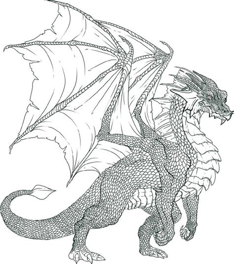 Free Realistic Dragon Coloring Pages Pdf In 2023