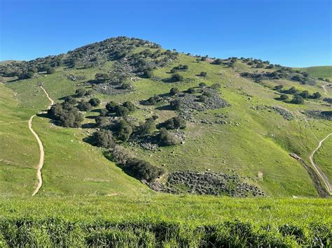 Brushy Peak Regional Preserve Livermore California Top Brunch Spots