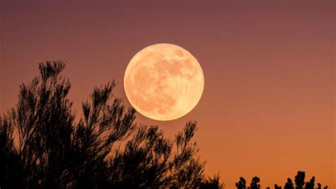 Luna De Fresa 2023 ¿cuál Es Su Significado Y Cuándo Se Podrá Ver En El Cielo Nocturno Mvs