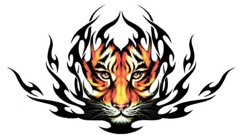Designs Tribal Tiger Tattoos For Men Usmc Tattoos Designs Pictures Of