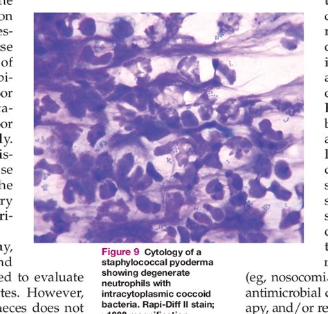 Figure 7 From Feline Eosinophilic Granuloma Complexities Semantic