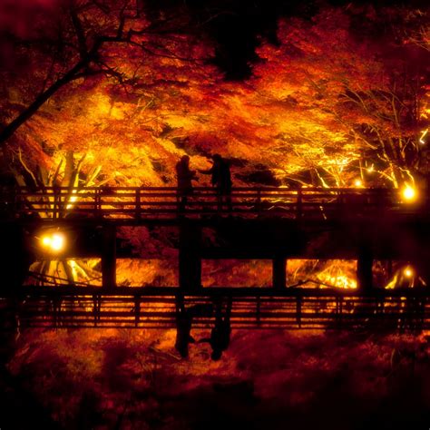 紅潮の言い換えや別の言い方。・意義素類語困惑または恥などで赤面する赤らめる ・ 染める ・ ぽっとする ・ 赤む ・ 火照る ・ 熱る ・ 赤らびる ・ 赤面 ・ 赤らむ ・ 赧らめる ・ ぽうっとする ・ 頬染める赤またはピンク. 紅潮 | GANREF