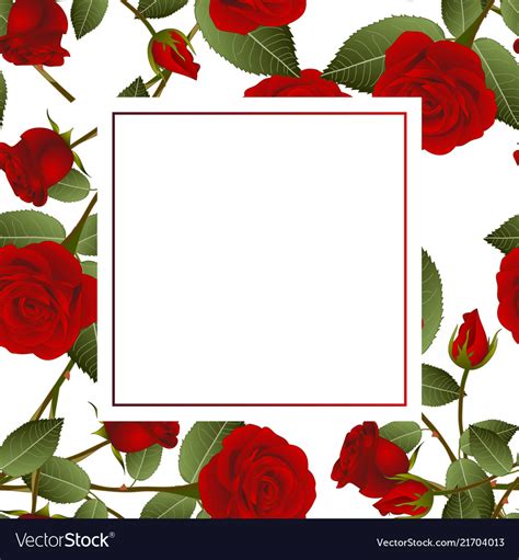 Red Rose On White Banner Card Royalty Free Vector Image