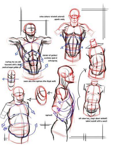 All tutorials were done in photoshop cc. Character Design Collection: Male Anatomy