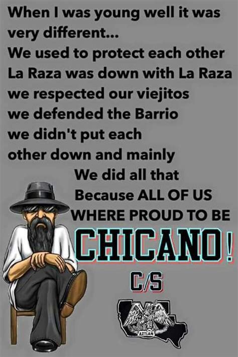 Our Colors Are Not Red Or Blue But Redwhite And Green Chicano Power