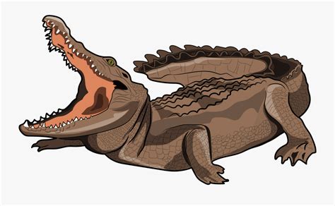 Nile Crocodile Clipart 10 Free Cliparts Download Images On Clipground